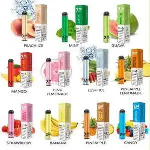 Xtra Mini Disposable Pod 800 Puffs